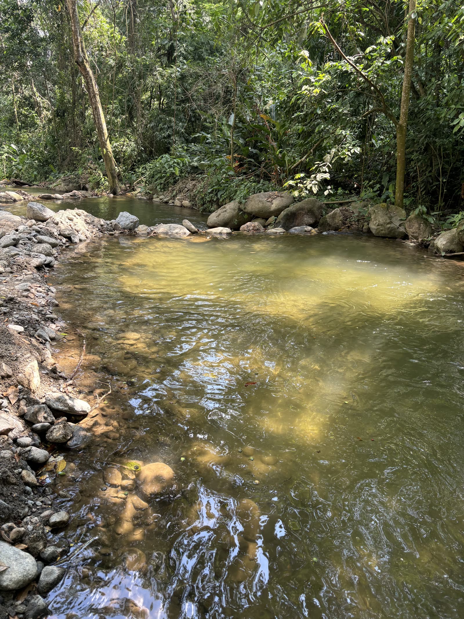 Chorros y quebrada natural